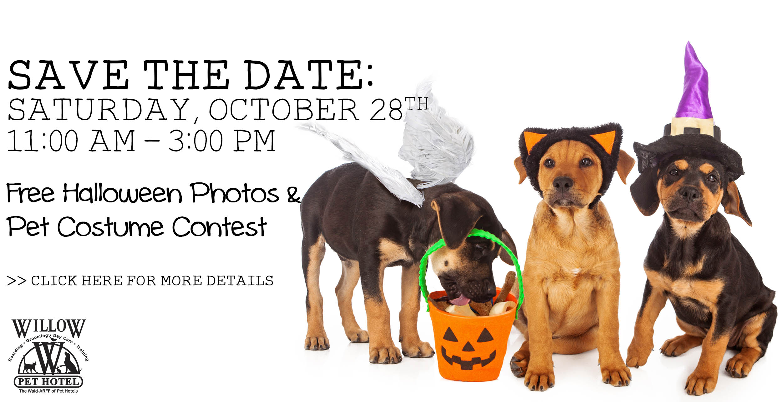 halloween photo contest slider – Willow Pet Hotel