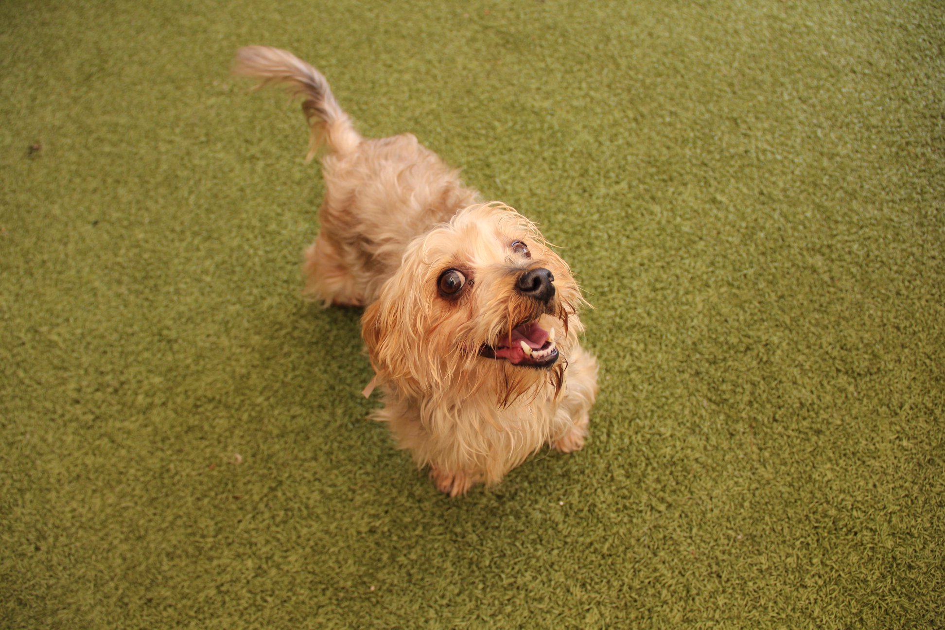 41739403_1931066706932090_7506537990756237312_n