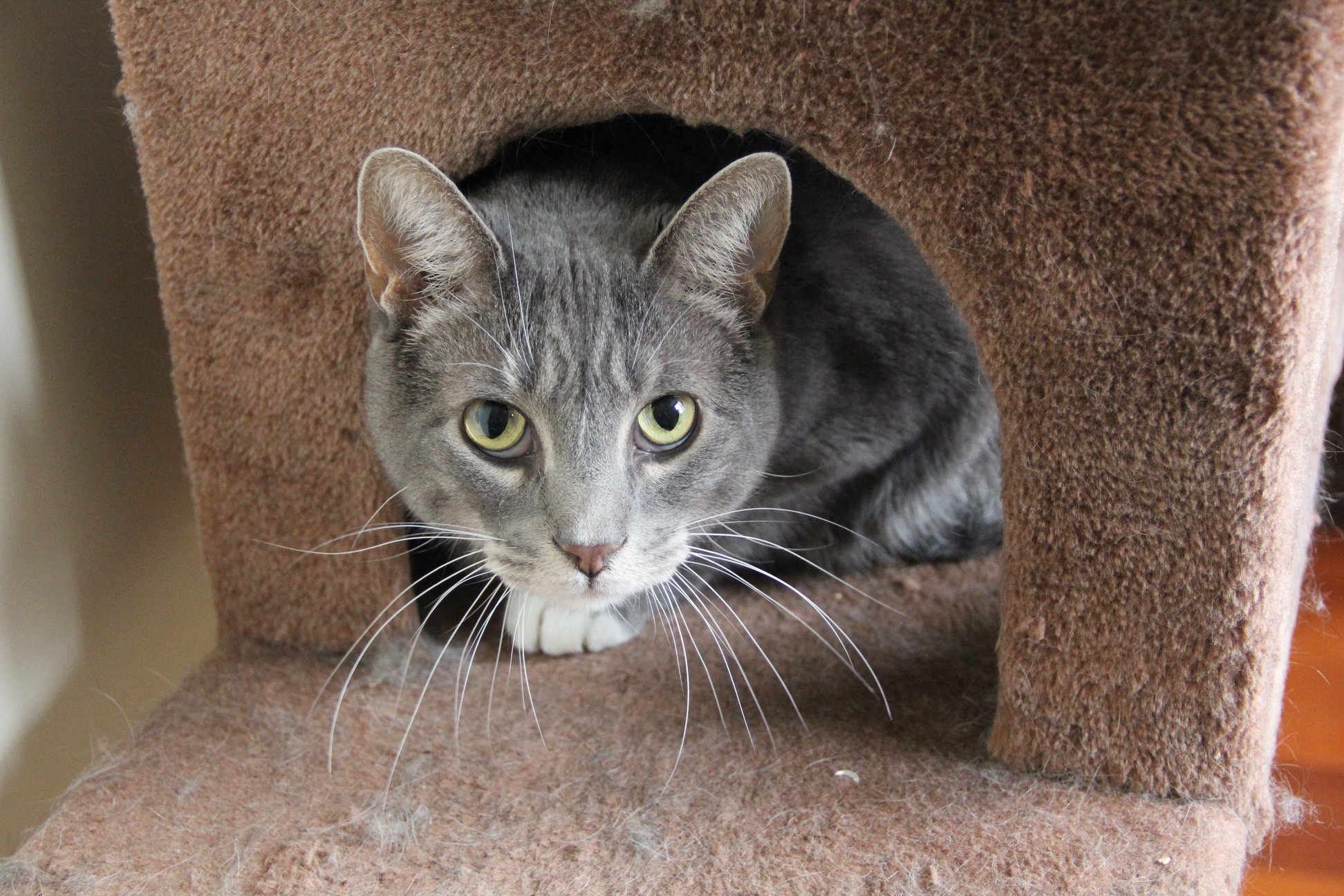 48359391_2050380805000679_1445707440900276224_n